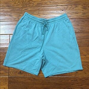 DSG Men's Teal Shorts